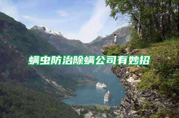 螨蟲防治除螨公司有妙招