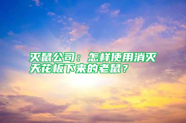 滅鼠公司：怎樣使用消滅天花板下來的老鼠？