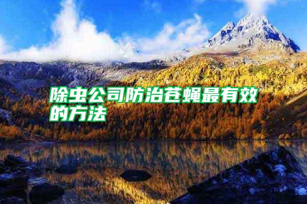 除蟲公司防治蒼蠅最有效的方法