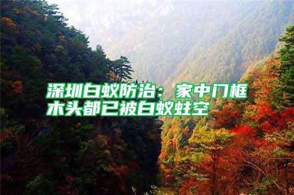 深圳白蟻防治：家中門框木頭都已被白蟻蛀空
