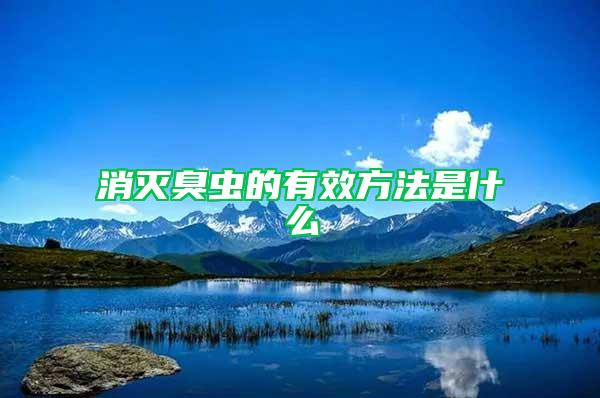 消滅臭蟲(chóng)的有效方法是什么