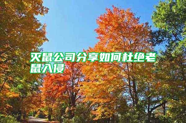 滅鼠公司分享如何杜絕老鼠入侵