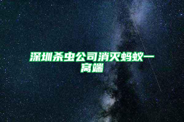 深圳殺蟲公司消滅螞蟻一窩端