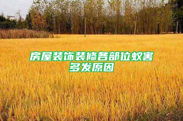 房屋裝飾裝修各部位蟻害多發(fā)原因
