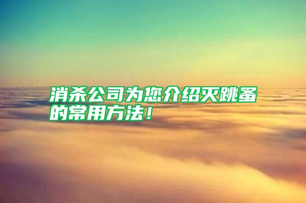消殺公司為您介紹滅跳蚤的常用方法！