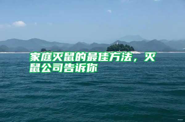 家庭滅鼠的最佳方法，滅鼠公司告訴你