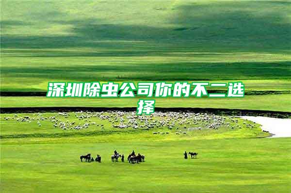 深圳除蟲公司你的不二選擇