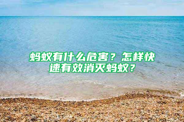 螞蟻有什么危害？怎樣快速有效消滅螞蟻？