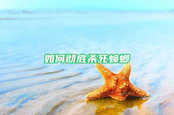 如何徹底殺死蟑螂