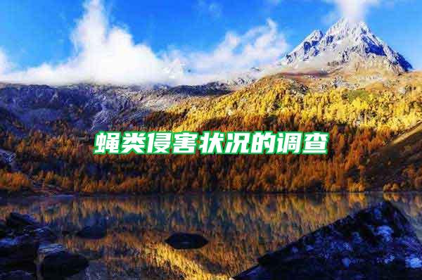 蠅類侵害狀況的調(diào)查