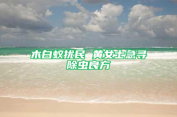 木白蟻擾民 黃女士急尋除蟲良方