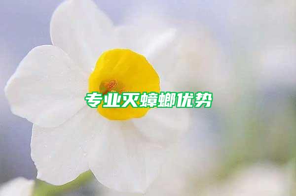 專業(yè)滅蟑螂優(yōu)勢