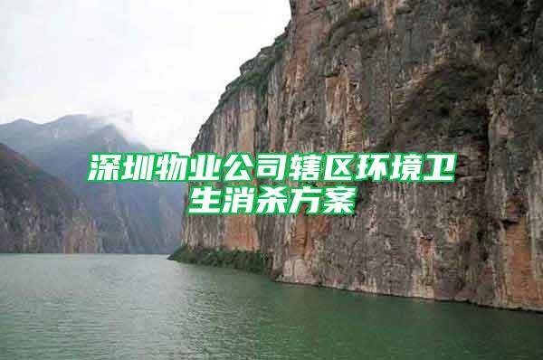 深圳物業(yè)公司轄區(qū)環(huán)境衛(wèi)生消殺方案