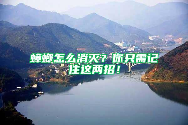 蟑螂怎么消滅？你只需記住這兩招！