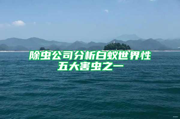 除蟲公司分析白蟻世界性五大害蟲之一