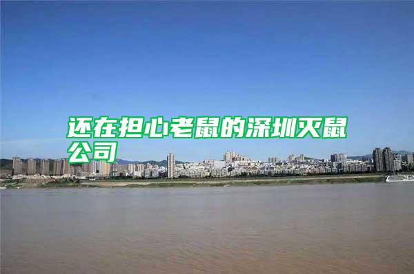 還在擔心老鼠的深圳滅鼠公司