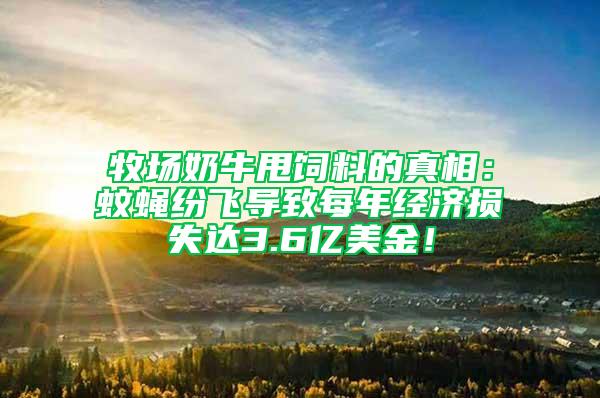 牧場奶牛甩飼料的真相：蚊蠅紛飛導(dǎo)致每年經(jīng)濟損失達(dá)3.6億美金！