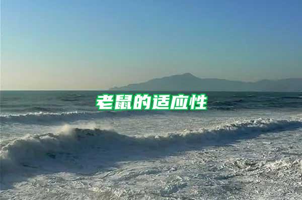 老鼠的適應(yīng)性
