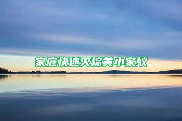 家庭快速滅棕黃小家蟻