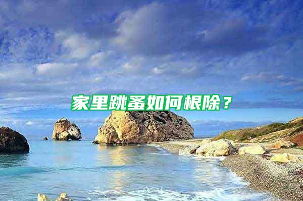 家里跳蚤如何根除？