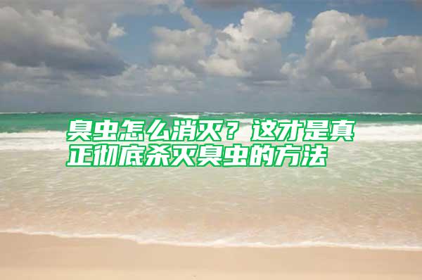臭蟲怎么消滅？這才是真正徹底殺滅臭蟲的方法