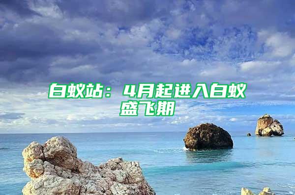 白蟻站：4月起進入白蟻盛飛期