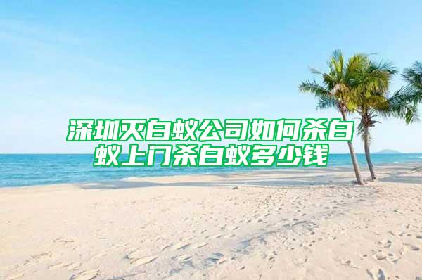 深圳滅白蟻公司如何殺白蟻上門殺白蟻多少錢