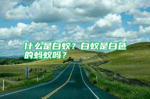 什么是白蟻？白蟻是白色的螞蟻嗎？