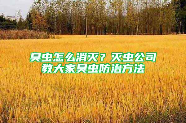 臭蟲怎么消滅？滅蟲公司教大家臭蟲防治方法