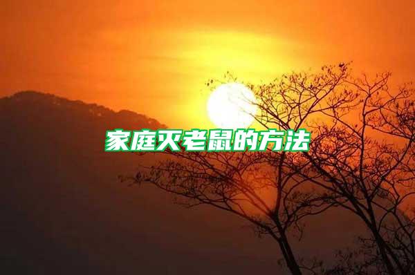 家庭滅老鼠的方法