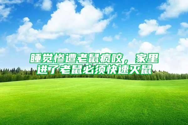 睡覺慘遭老鼠瘋咬，家里進了老鼠必須快速滅鼠