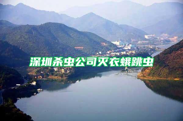 深圳殺蟲公司滅衣蛾跳蟲