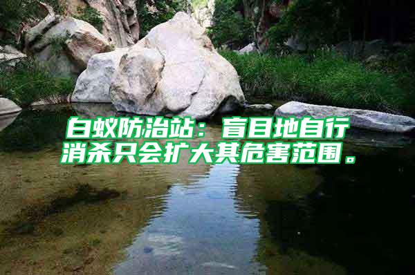 白蟻防治站：盲目地自行消殺只會擴(kuò)大其危害范圍。