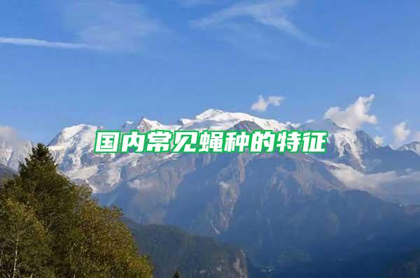 國(guó)內(nèi)常見(jiàn)蠅種的特征