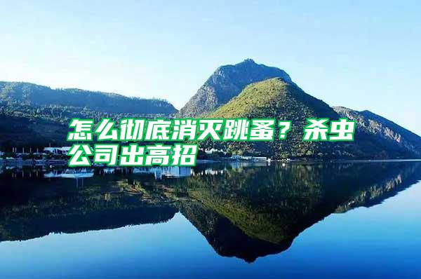 怎么徹底消滅跳蚤？殺蟲公司出高招