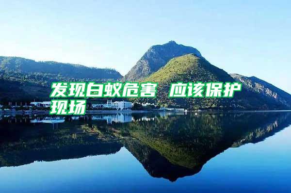 發(fā)現(xiàn)白蟻危害 應(yīng)該保護(hù)現(xiàn)場(chǎng)