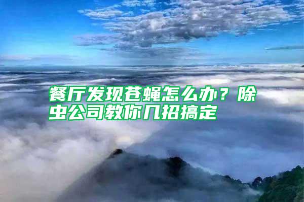 餐廳發(fā)現(xiàn)蒼蠅怎么辦？除蟲公司教你幾招搞定