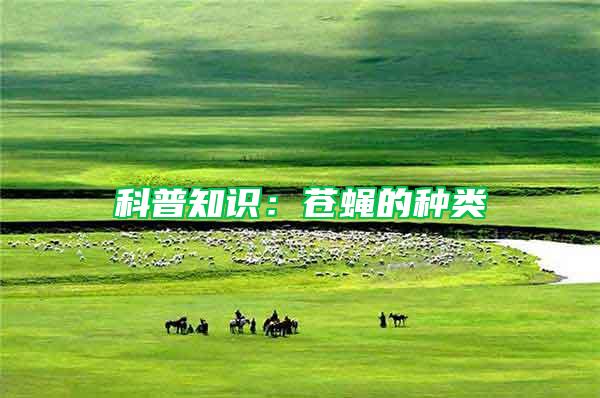 科普知識(shí)：蒼蠅的種類