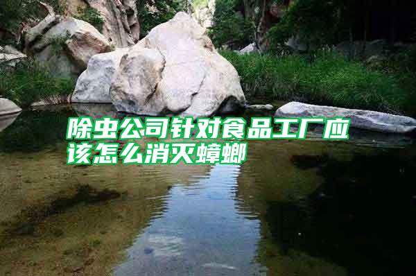 除蟲(chóng)公司針對(duì)食品工廠應(yīng)該怎么消滅蟑螂