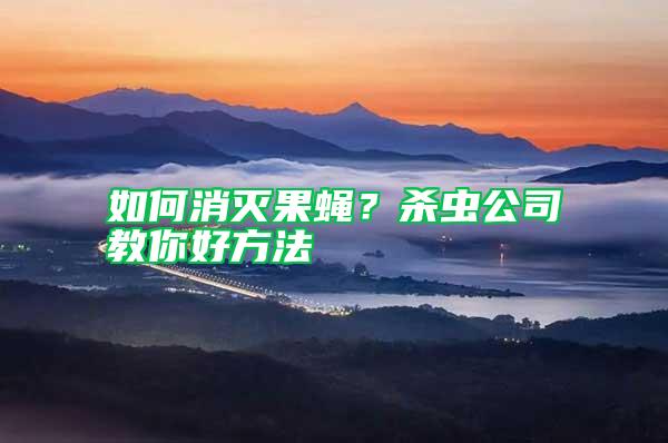 如何消滅果蠅？殺蟲公司教你好方法
