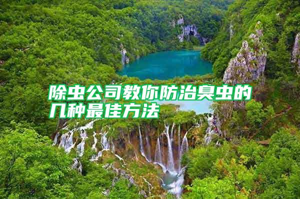 除蟲(chóng)公司教你防治臭蟲(chóng)的幾種最佳方法