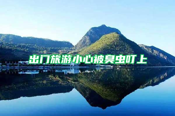 出門(mén)旅游小心被臭蟲(chóng)叮上