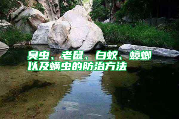臭蟲、老鼠、白蟻、蟑螂以及螨蟲的防治方法
