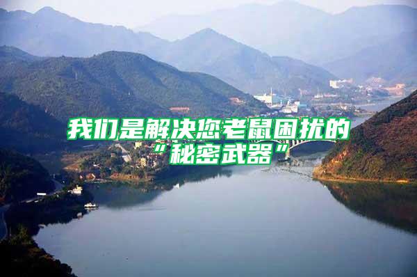 我們是解決您老鼠困擾的“秘密武器”