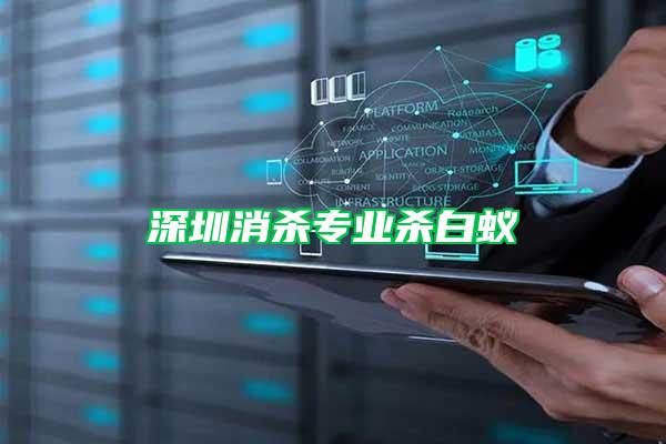 深圳消殺專業(yè)殺白蟻