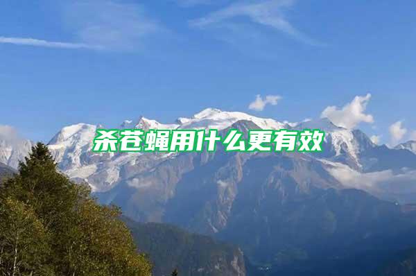 殺蒼蠅用什么更有效