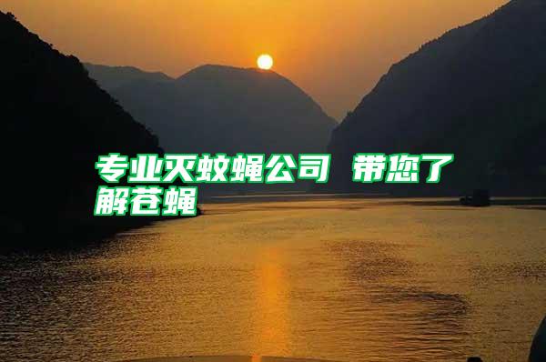 專業(yè)滅蚊蠅公司 帶您了解蒼蠅