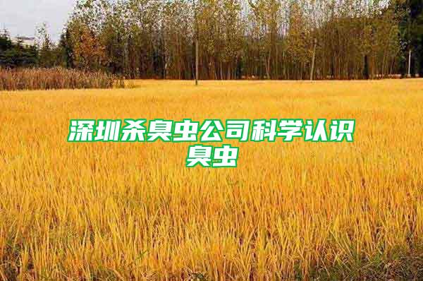 深圳殺臭蟲公司科學(xué)認(rèn)識臭蟲