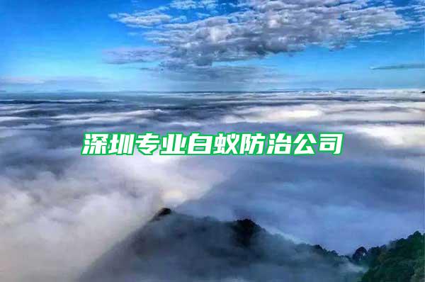 深圳專業(yè)白蟻防治公司
