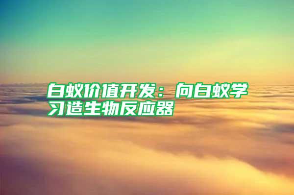 白蟻價值開發(fā)：向白蟻學習造生物反應器